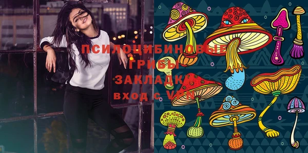 PSILOCYBIN Пестово
