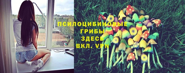 трава Бородино