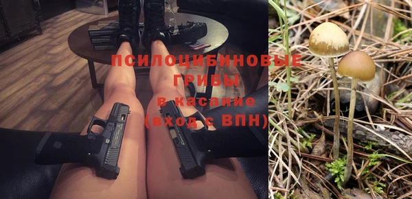 трава Бородино