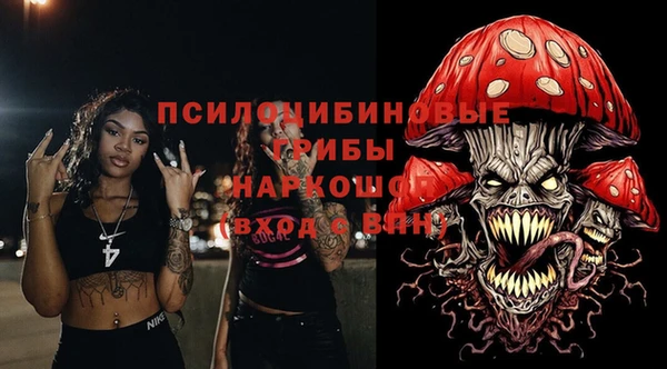 амф Бронницы
