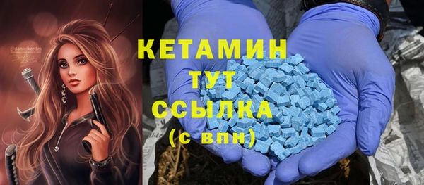 трава Бородино
