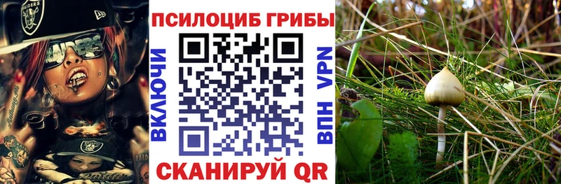 Галлюциногенные грибы прущие грибы  дарнет шоп  Симферополь 